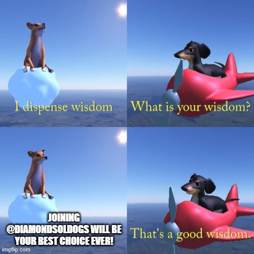 HardySolDog's tweet photo. Ready for the mint! Word of advice for everyone from wisdom doggo---> https://t.co/uRssGeQ7EL