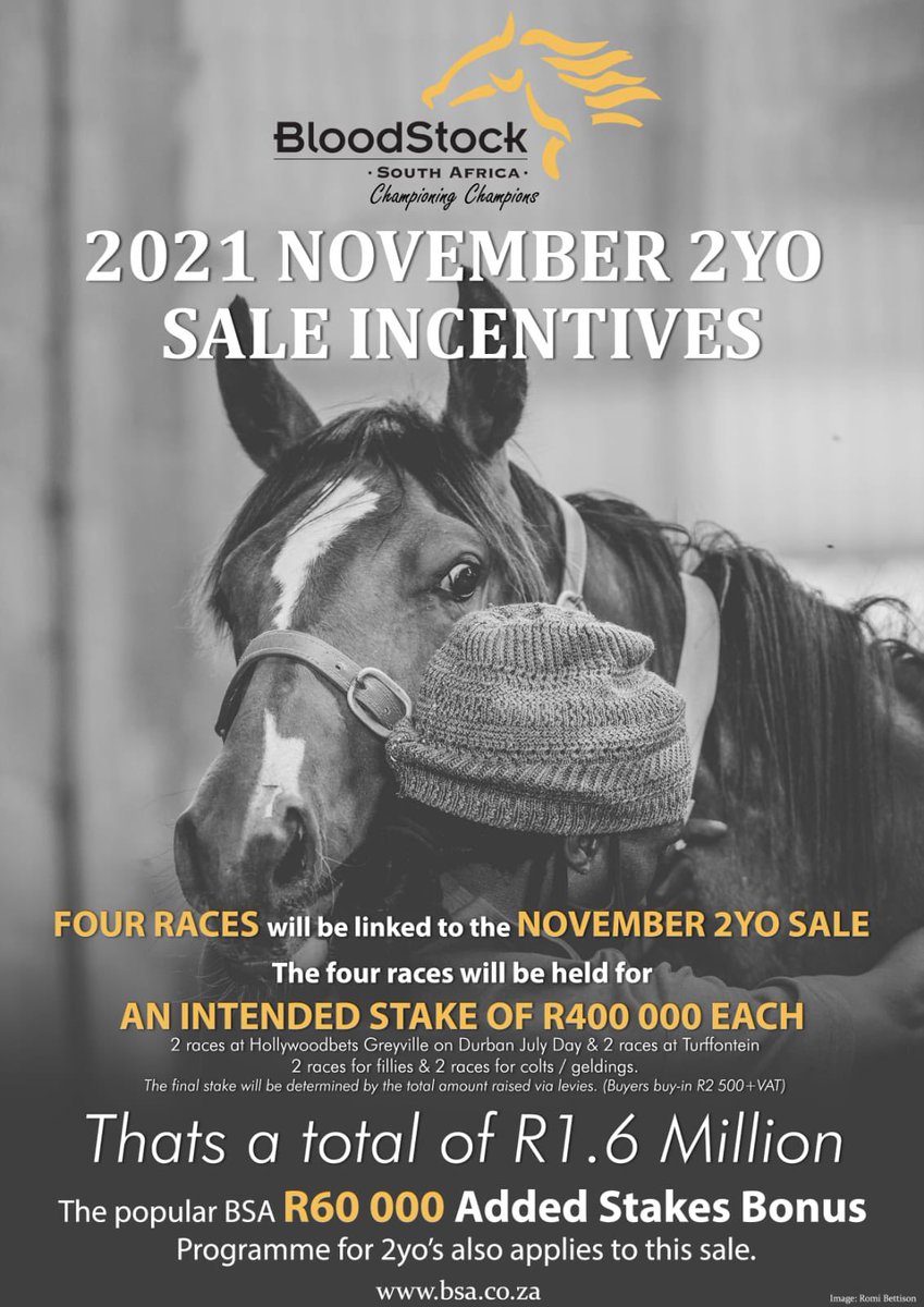 BSA will be hosting the November 2 Year Old Sale at the TBA Sales Complex in Germiston this Saturday, the 20th November 2021.
___

Last chance to invest in a BSA 2 Year Old for the R60 000 BSA Value Added Stakes Incentive and four races for a total of R1.6 Million in prize money.