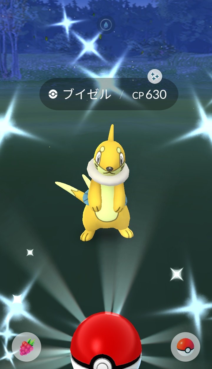 Akaring3r 隣りにいた ペンギンっぽい子が光って欲しかった ２体目なので色違いのフローゼル作りました 尻尾くるくる ポケモンgo 色違い ブイゼル T Co Chypfuxe2u Twitter