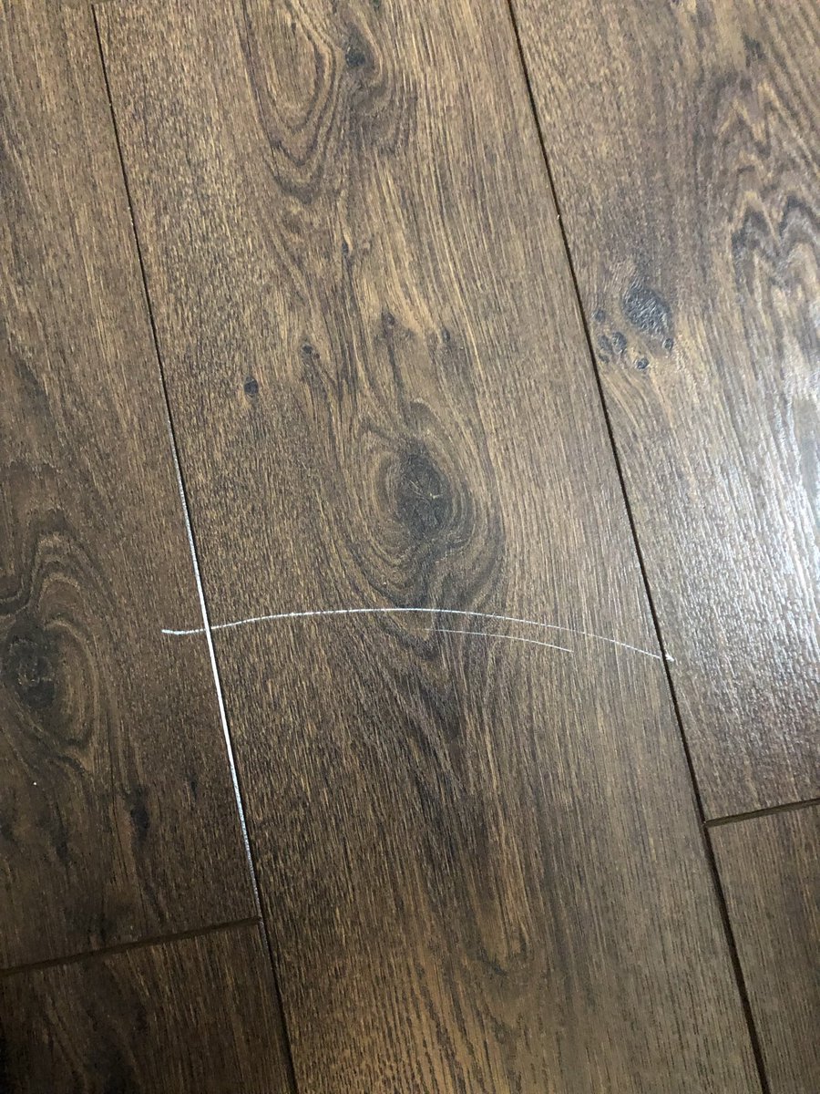 Louise Harrison tweet media