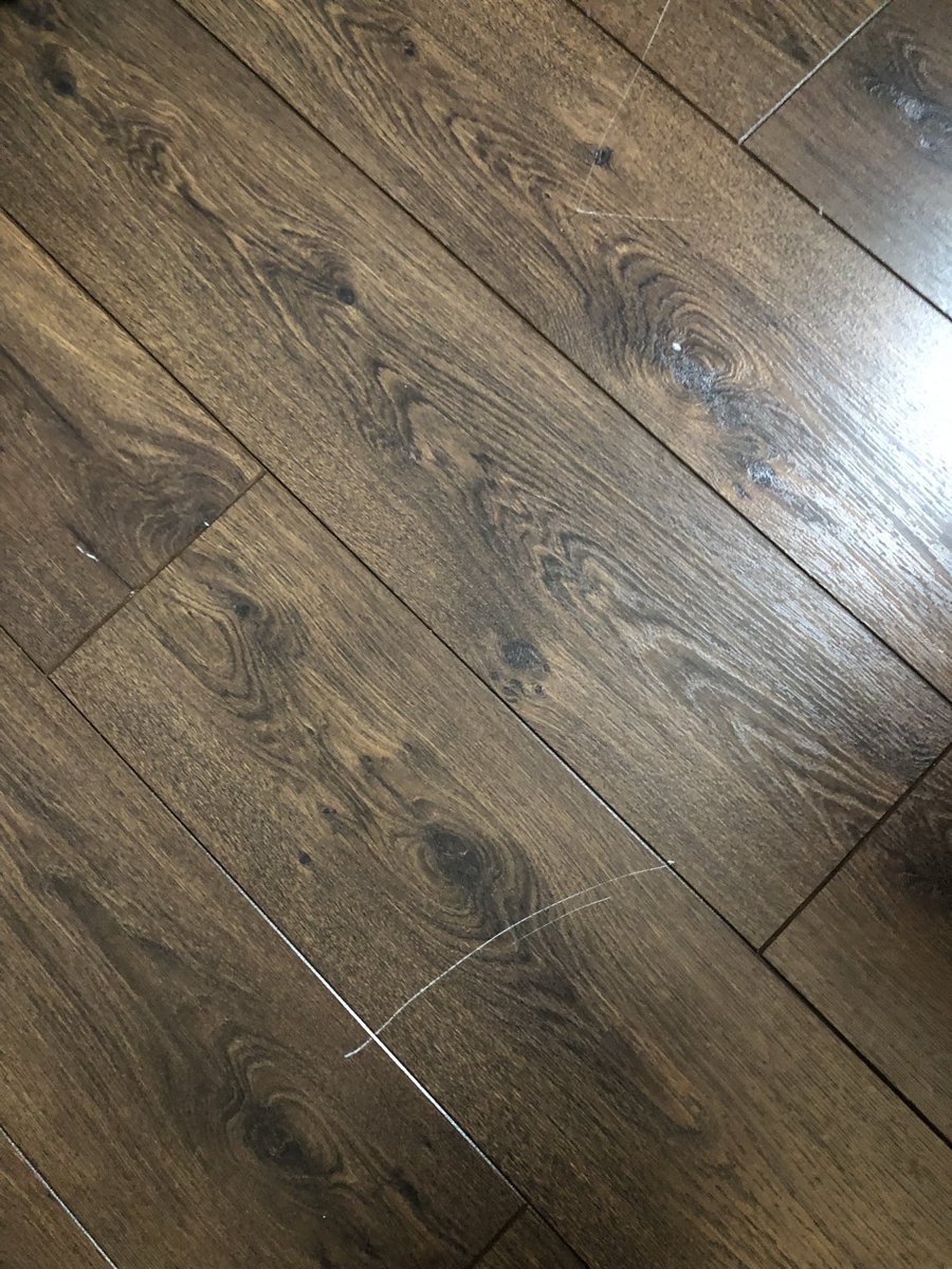 Louise Harrison tweet media