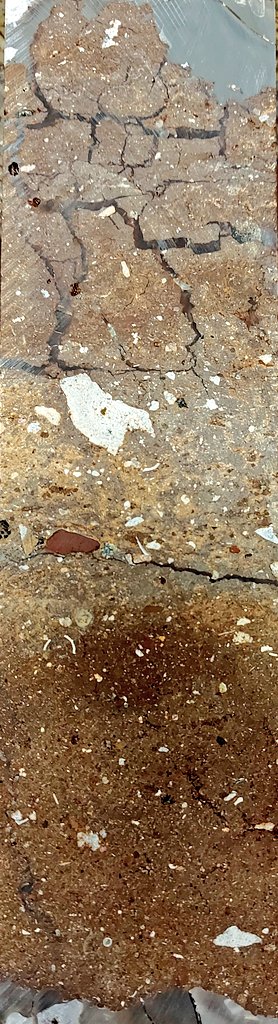 Vito Hernandez tweet media