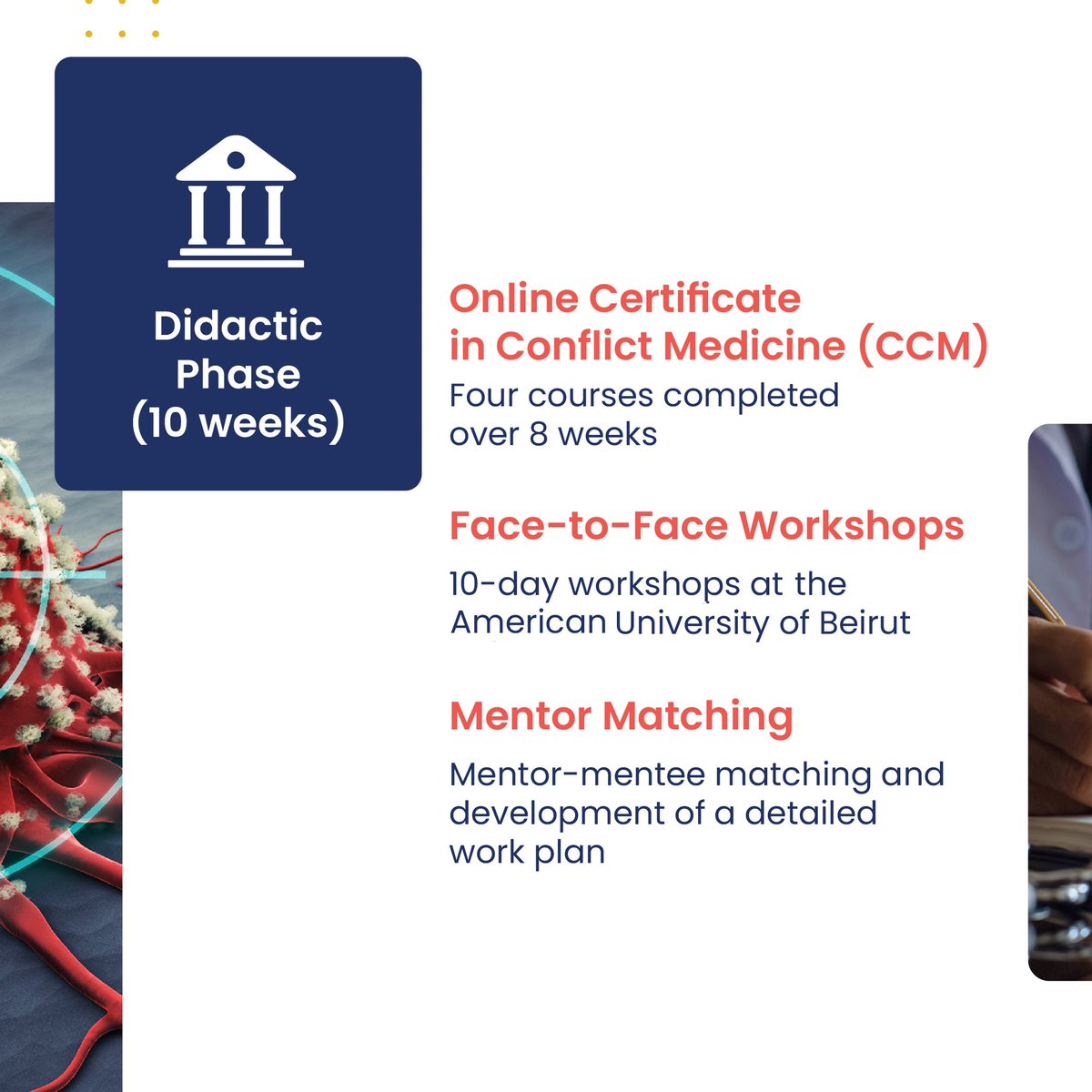 AUB Global Health Institute tweet media