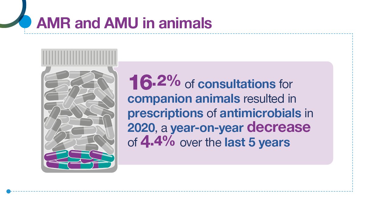 PSDScotland's tweet photo. Find out more about AMU in animals in the Scottish One Health Antimicrobial Use and Antimicrobial Resistance in 2020 Report. #SONAAR #OneHealth #EAAD #WAAW #ARHAIScotland #IPC https://t.co/KNWis5UerR https://t.co/j1IpFehgUp