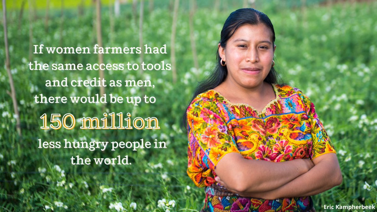 carecanada's tweet photo. #AccessToResources + #AccessToCredit: If women farmers had the same access to tools and credit as men, there would be up to 150 million less hungry people in the world. #InvestInWomen https://t.co/Gx8xGzIDzI https://t.co/L5wxSHEEBN