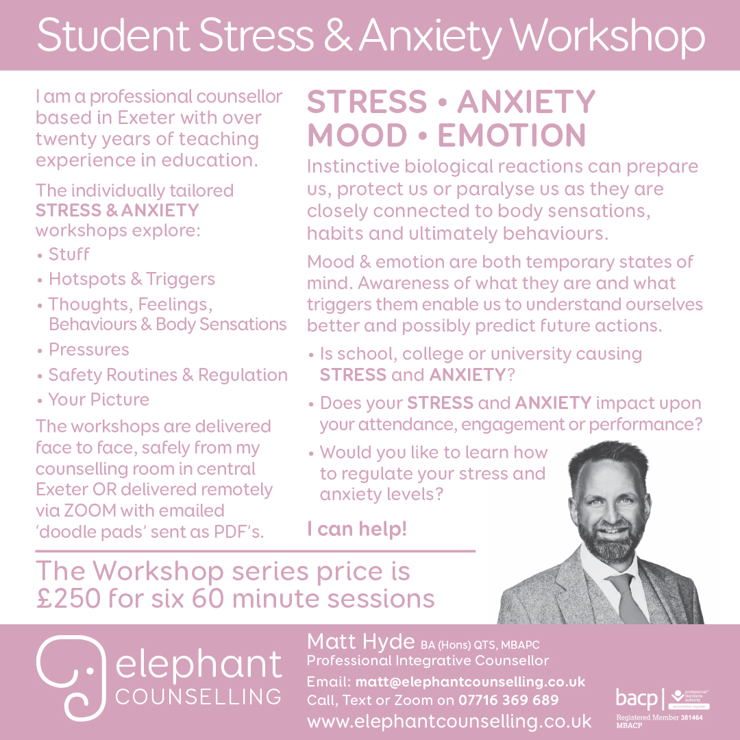 Elephant Counselling tweet media