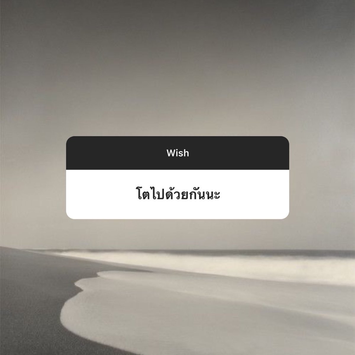 vanilattebaes's tweet image. 