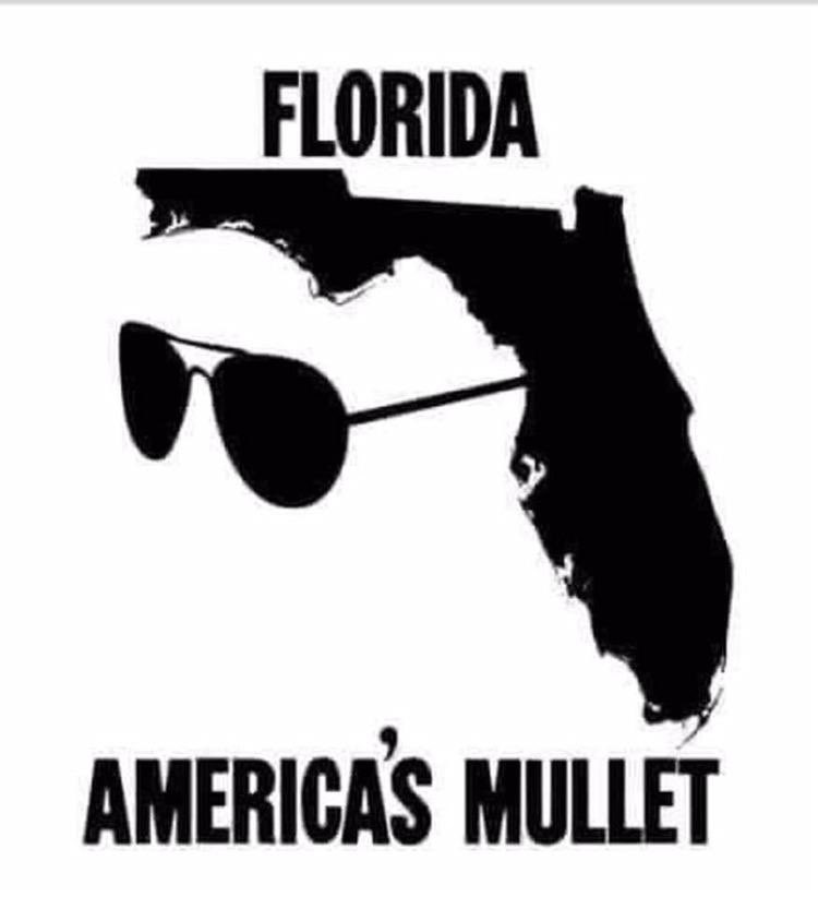 DontBurnThePig_'s tweet photo. @bberns_dmb Yeah…he’s a real #pos. I can’t believe he’s still in office. Glad I don’t live in FL…that place is a real #politicalshitshow, IMO https://t.co/ytfzf7h5qK