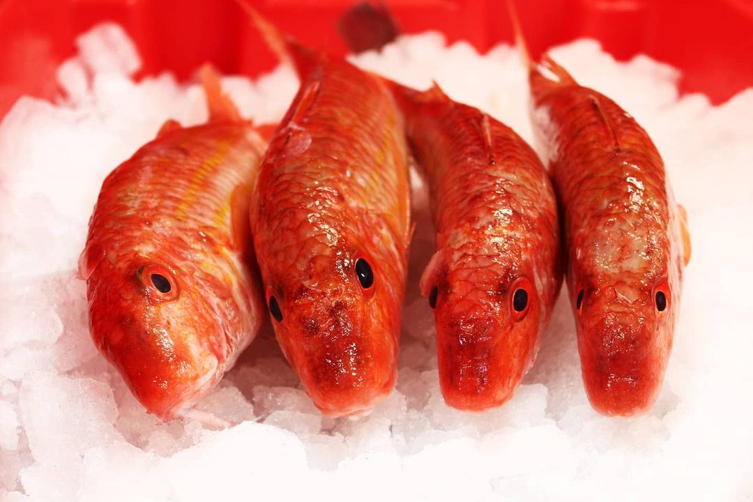 Kingfisher_BXM's tweet photo. Hello netted red mullet! 🔥
These guys are as fresh and red as can be 😎
Swipe to see their colour when pan fried 👉
#redmullet #photography #fishsupplier
#cute #photooftheday #picoftheday #fish https://t.co/ajI9zMRkGE