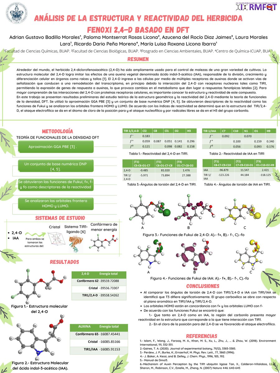 Buenos días, les comparto el cartel "Análisis de la Estructura y Reactividad del Herbicida Fenoxi 2,4-D Basado en DFT". Un trabajo multidisciplinario que abarca aspectos químicos🧪y biológicos🍃🧬interesantes.
<a href="/AdrianGBadillo/">Badillo Morales Adrián Gustavo</a> <a href="/MLR_Licona/">MLR Licona-Ibarra</a> <a href="/rmfqt1/">Reunión Mexicana de Fisicoquímica Teórica</a>
#RMFQTXIX #RMFQT #CompChemMX