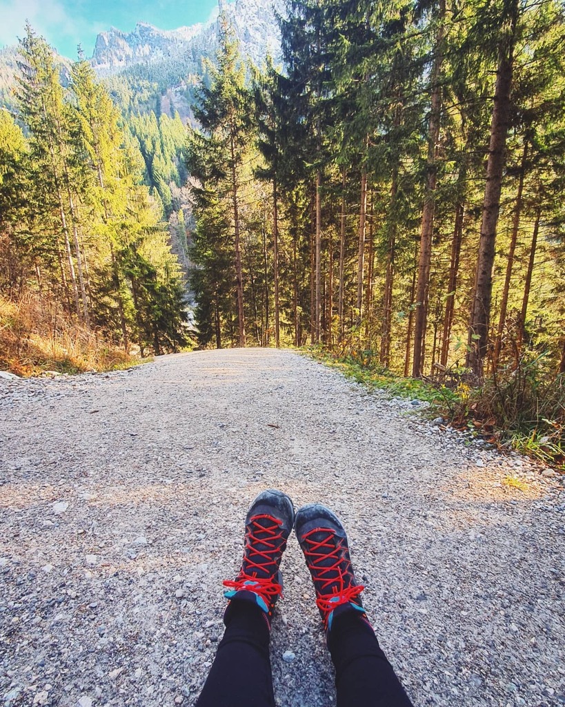 Kung_FuPrincess's tweet photo. I like to sit down at pretty places and enjoy the view - even if it means just randomly sitting in the middle of the path 😅 #kungfuprincessontheroad #wanderlust #hikingingermany #hikingtrip #tegelberg #Schutzengelweg #germany #salewashoes #wandern #t… https://t.co/gu9HSJlK0Y https://t.co/PBZEm1Ay85