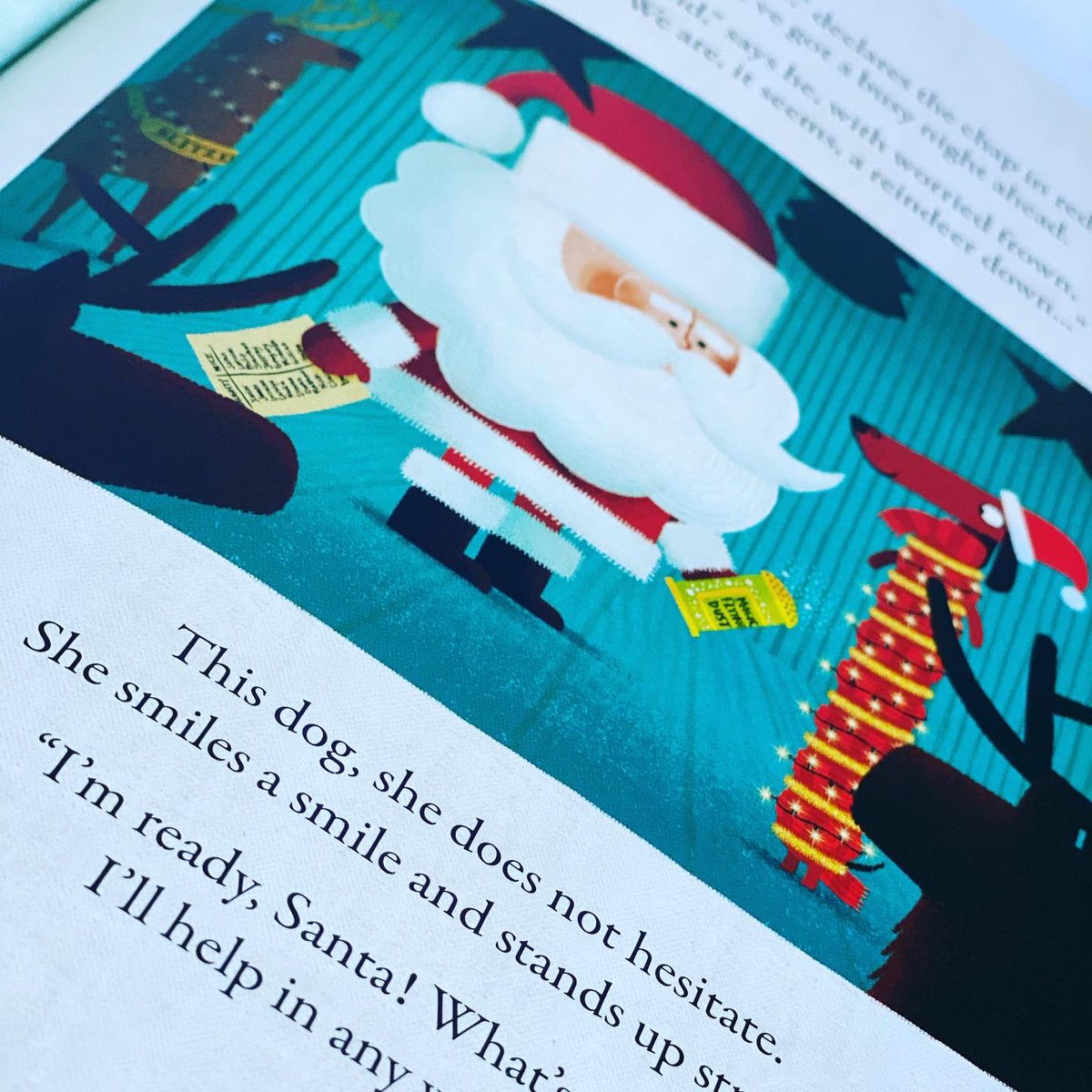 bookgiftblogger's tweet photo. Weโre loving this festive tale featuring #odddog on the search for the pawfect present! #anodddogchristmas by @rbiddulph But she soon realises that the gifts arenโt the most important thing about Christmas @HarperCollinsCh https://t.co/SUdFGx7bYQ