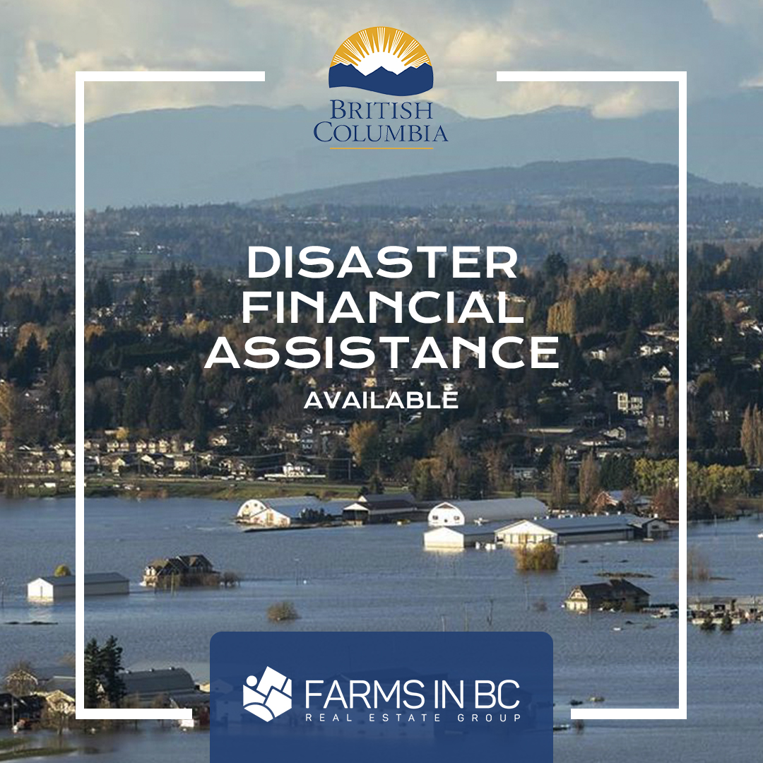 FARMSINBC's tweet photo. Our thoughts and prayers are with those affected by the historic floods in BC.
We’d like to bring awareness to the Financial Assistance available from the Province of BC to help alleviate some of the costs towards recovery.

@farmsinbc
@abbynews
@governmentofbc

#bcfloods https://t.co/zbQaluablh