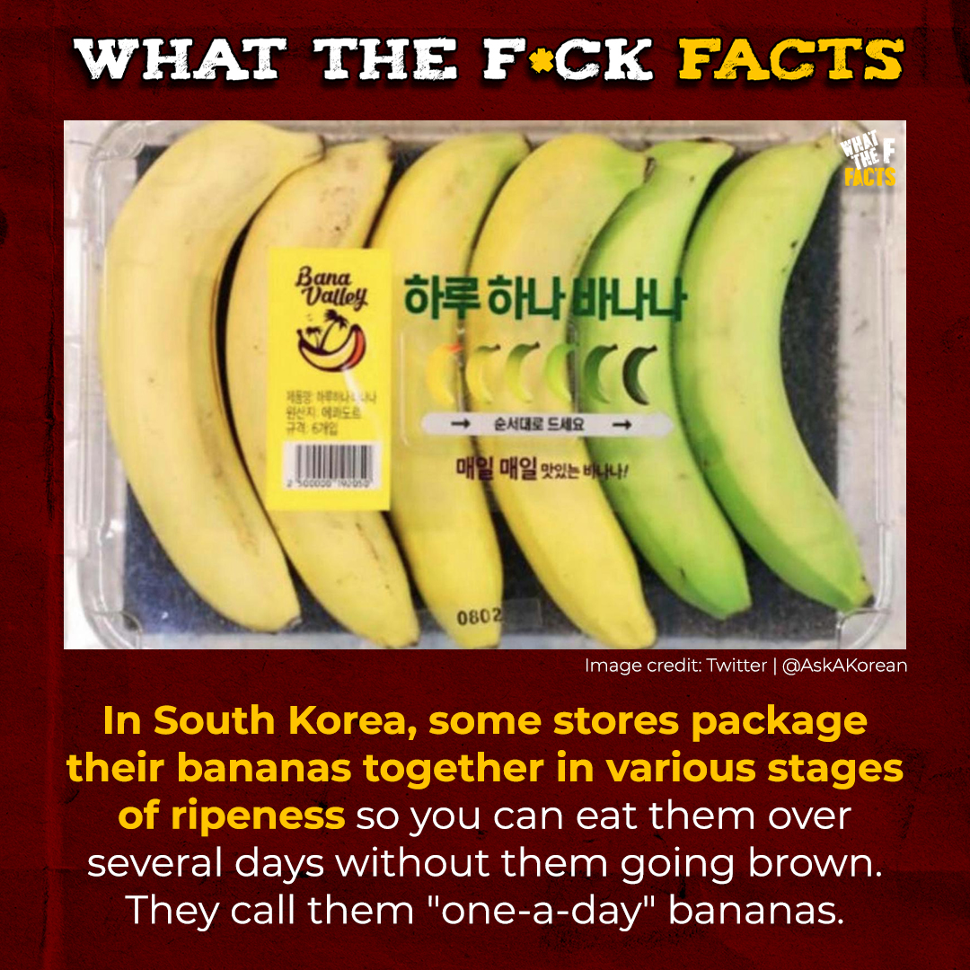 WhatTheFFacts's tweet photo. Package designing can change the world!

Read more here: https://t.co/rEhttAKWtl https://t.co/UWePPb8dtk