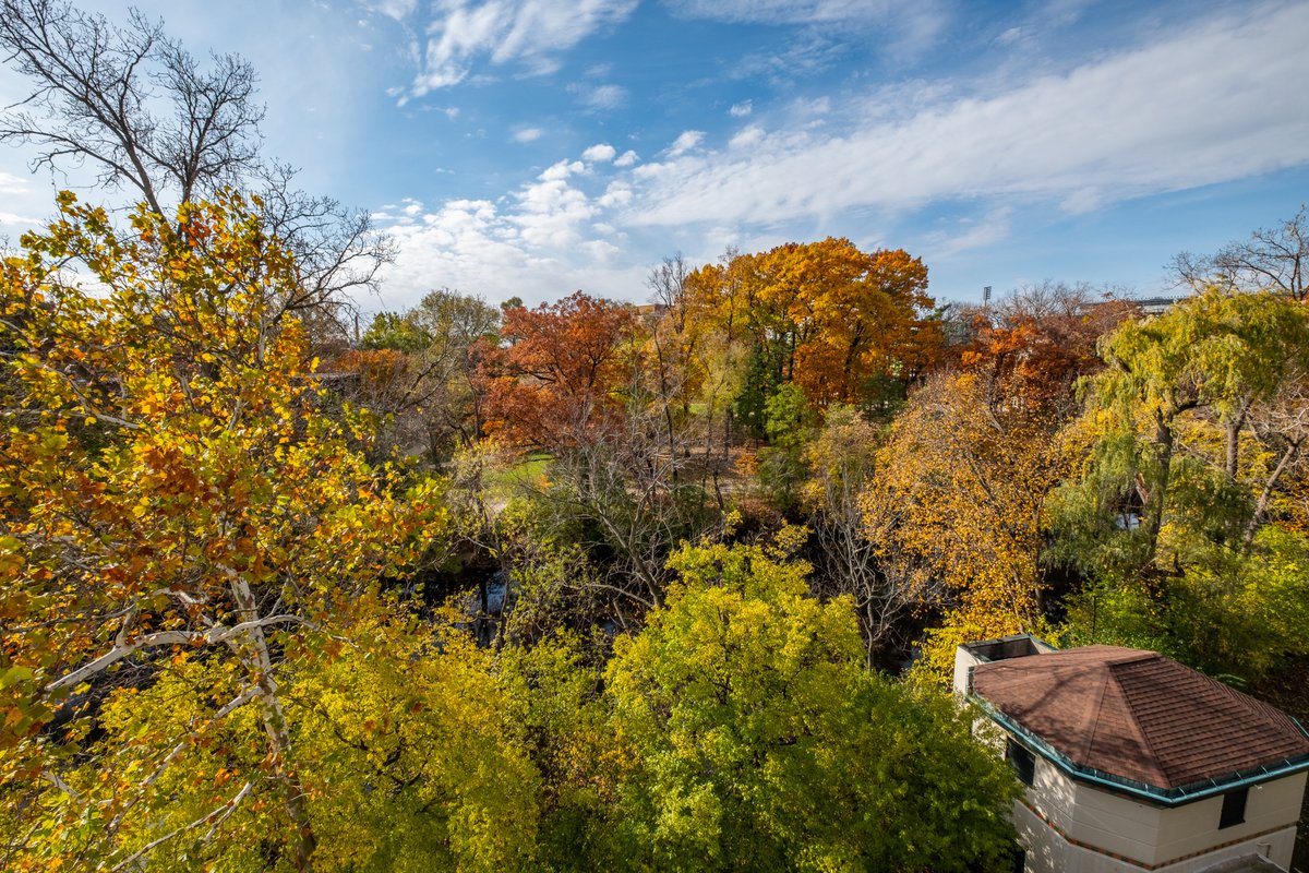 michiganstateu's tweet photo. Unfiltered.😍 #MSUView https://t.co/HnhMMnhQNf