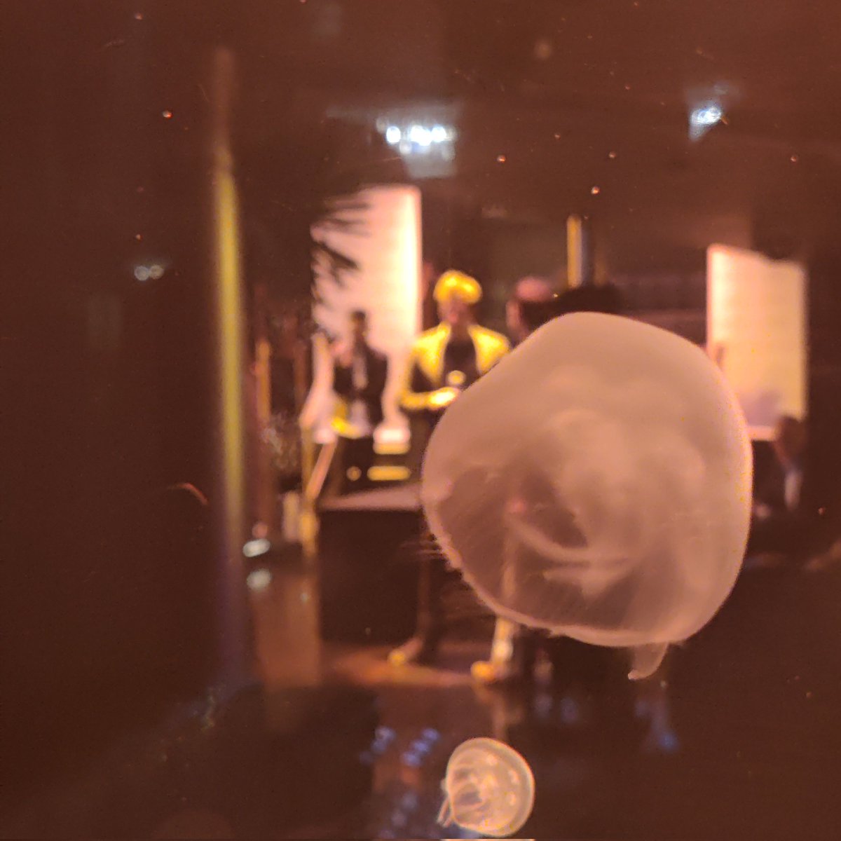 Paul_Oesten's tweet photo. About to Reign 🔥 on the #ukproptech awards. https://t.co/BEeoR619mS up for 3 but it's the social impact award I'm here for. First awards ceremony I've been to with Jellyfish #proptech @UKProptech https://t.co/7Ali38eGPI