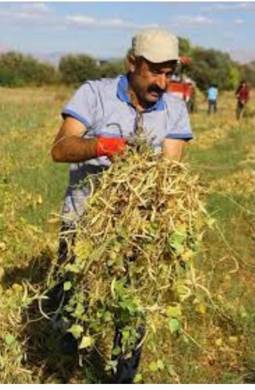 gezginadam_15's tweet photo. Ben Bir Karadenizli olarak..
Gönlümde Başkan tipi..
Üreten..
Halkına calısan..
Çalmayan..
Babamın Anlatıdıgı dürüst Adam.
#Fatihmacoglu
#Dolar11TL https://t.co/5NzNAQWmyr