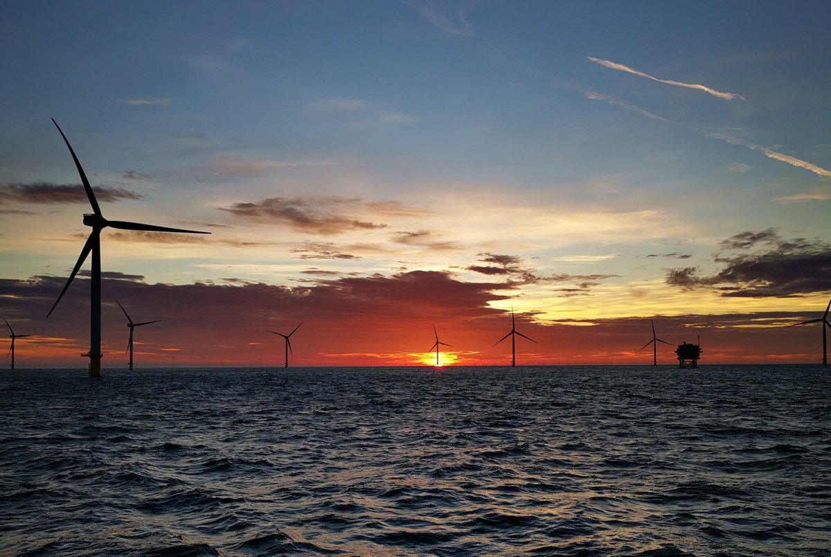 Adam ⚓ tweet media