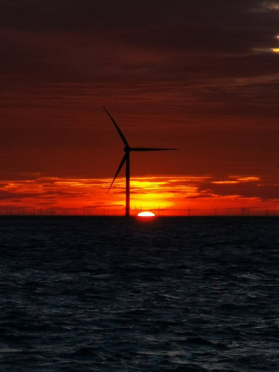 Adam ⚓ tweet media