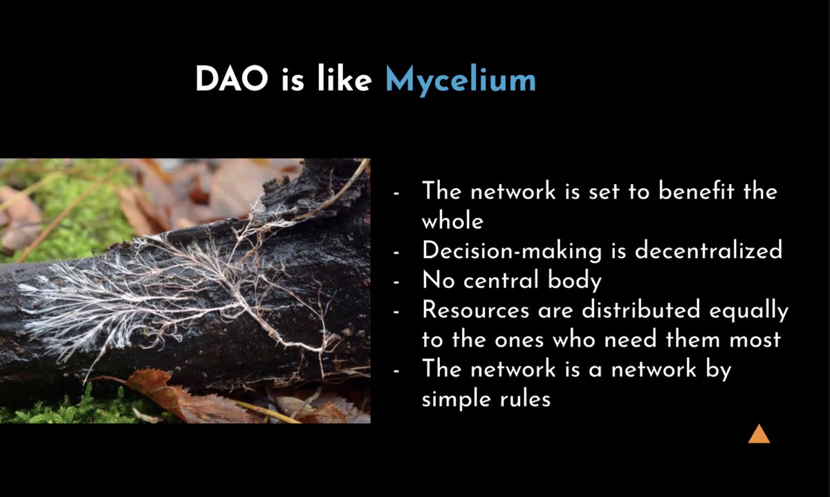 FundraisingInn1's tweet photo. Great metaphor about #DAOs through the lens of biomimicry from today's talk by Sam Chevallier at @sovereignnature @RewildAfrica https://t.co/PFU7hn6OKx