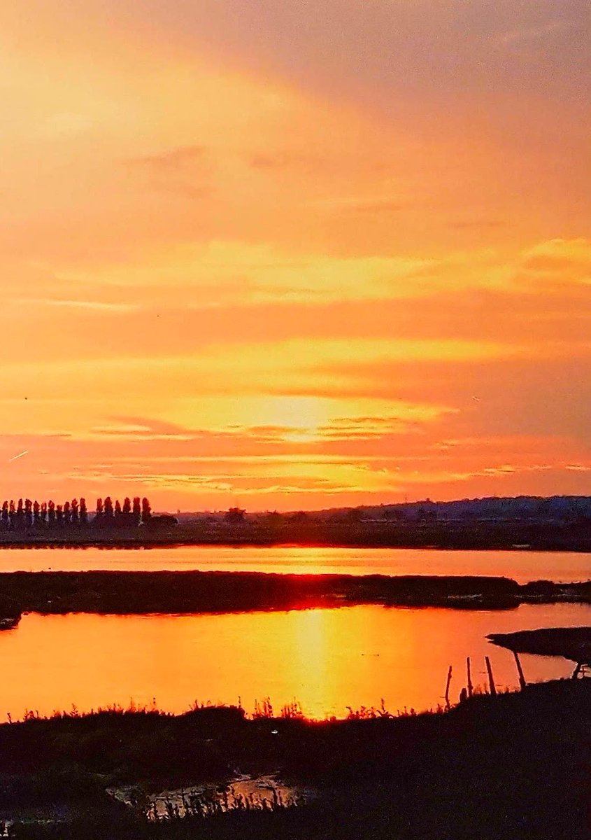 Battagliart's tweet photo. Fabulous sunset last night at home ( but a bit cold !!! ) . . . " down by the river " on the saltings ❤ #RiverRoach #Essex #sunsetphotography #sunset https://t.co/NSCDVKwFi9