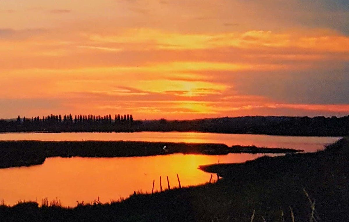 Battagliart's tweet photo. Fabulous sunset last night at home ( but a bit cold !!! ) . . . " down by the river " on the saltings ❤ #RiverRoach #Essex #sunsetphotography #sunset https://t.co/NSCDVKwFi9