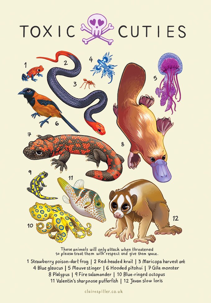 claireaspiller's tweet photo. Hi again #AnimalArtistsUnite! 
I make educational animal art, wildlife merch and have open slots for pet portraits 💚 https://t.co/4lOBeCBgfG