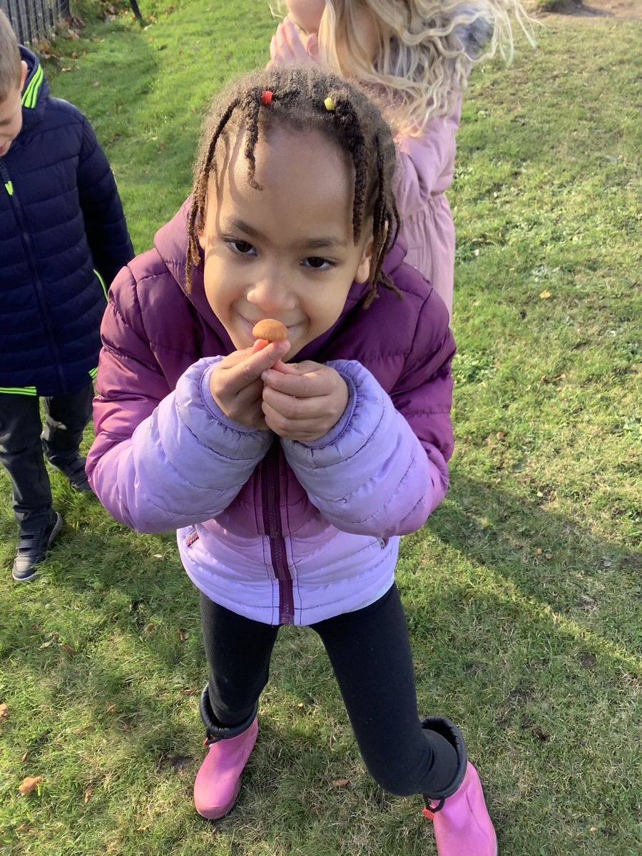 MissKNapier's tweet photo. We noticed that in the book Sunny brought with him, 'Meerkat Mail', both of the words start with an 'm'. We discussed alliteration and went on an alliteration hunt of our own. We found marvellous mushrooms, fantastic flowers, beautiful berries and even Sunny the super student. https://t.co/xKusNL0cLr