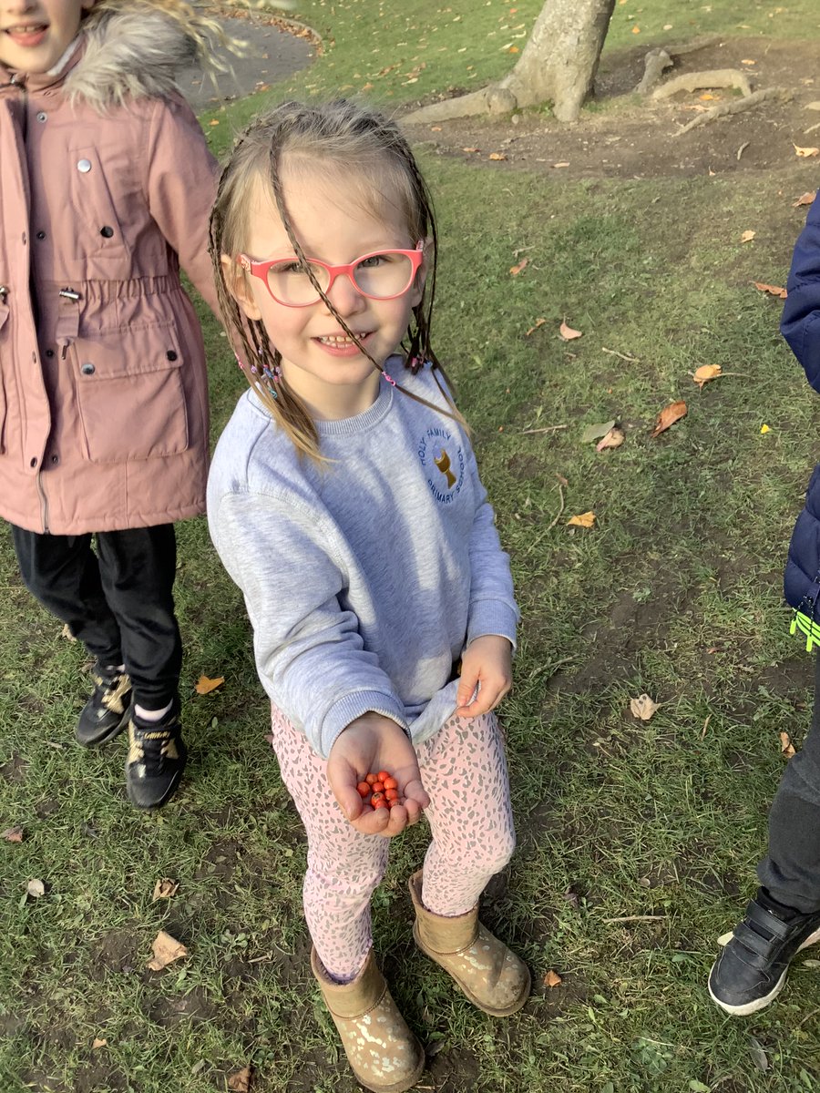 MissKNapier's tweet photo. We noticed that in the book Sunny brought with him, 'Meerkat Mail', both of the words start with an 'm'. We discussed alliteration and went on an alliteration hunt of our own. We found marvellous mushrooms, fantastic flowers, beautiful berries and even Sunny the super student. https://t.co/xKusNL0cLr