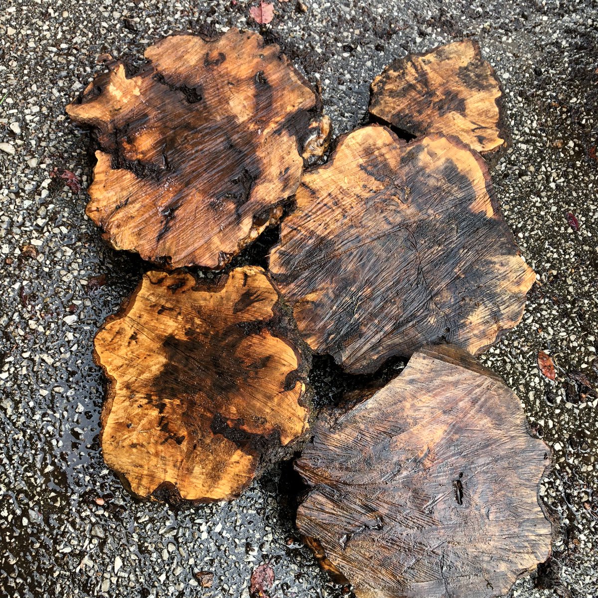 Timberworks tweet media