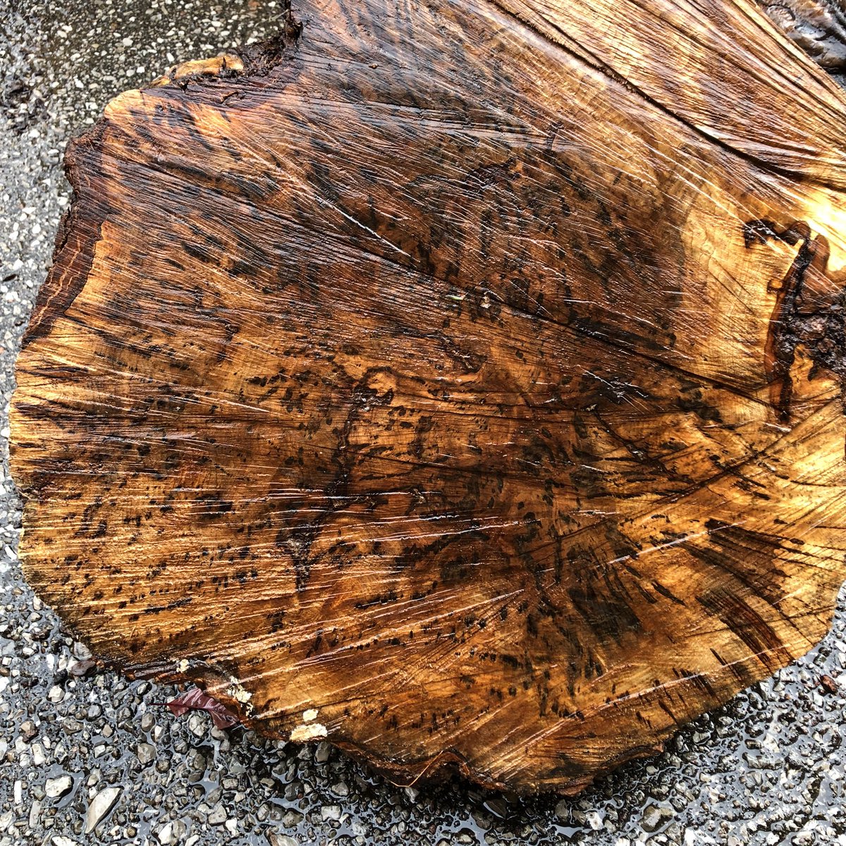 Timberworks tweet media
