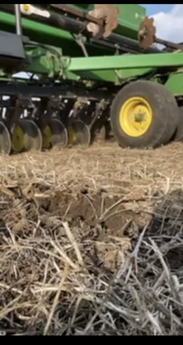 NorthernStarIS's tweet photo. 🌱All if our wheat, oats, and triticale increases are in the ground and coming up!🌱 https://t.co/qL0LOw9YNB