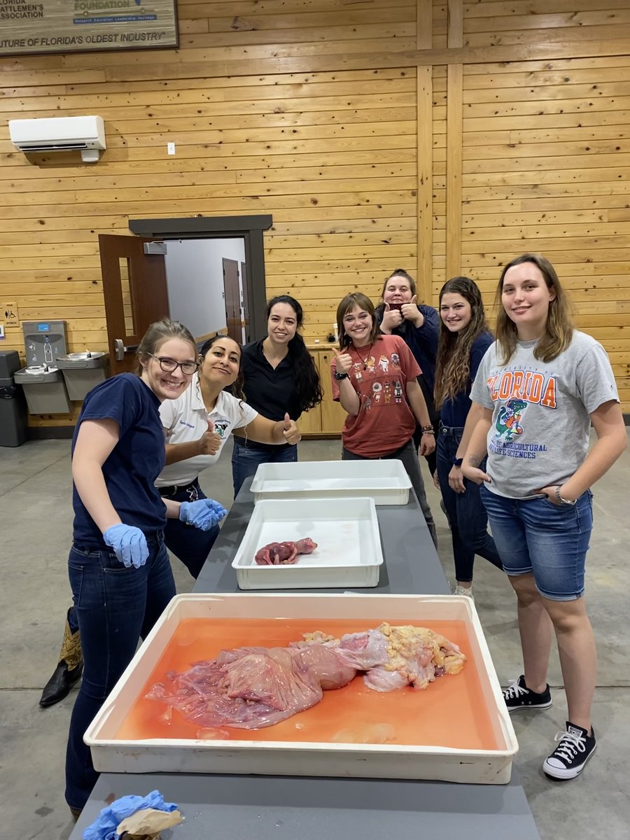 UF Dairy Science Club tweet media