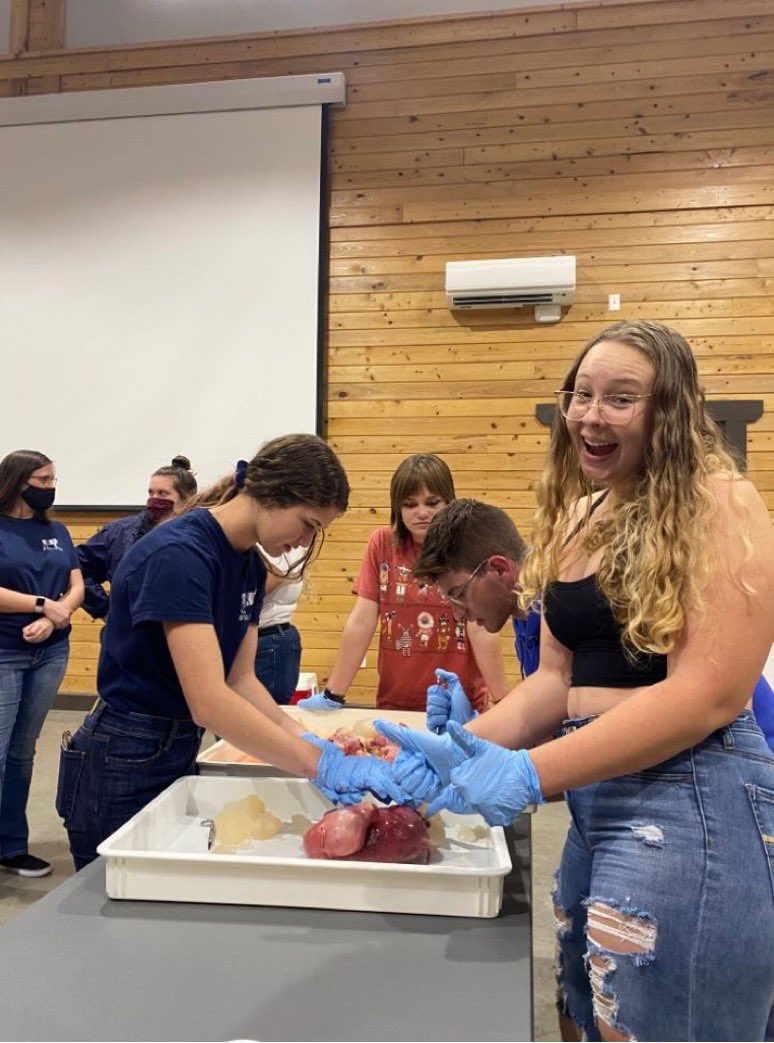 UF Dairy Science Club tweet media