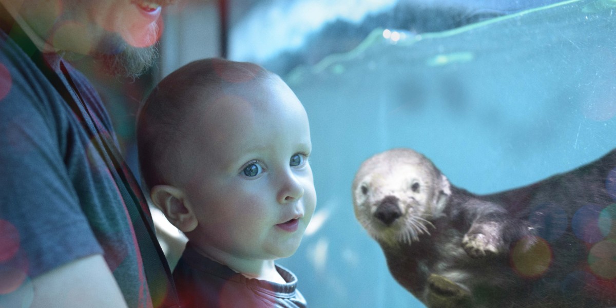 vanaqua's tweet photo. Give the gift of membership & create a lifelong love of the underwater world! Create memorable moments with a membership today! Our exclusive membership benefits are otterly good! For details visit: https://t.co/RjTu3G8vB1
#vanaqua #vancouveraquarium #vancouverbc #holidaysplash https://t.co/EHsL3iTvjG