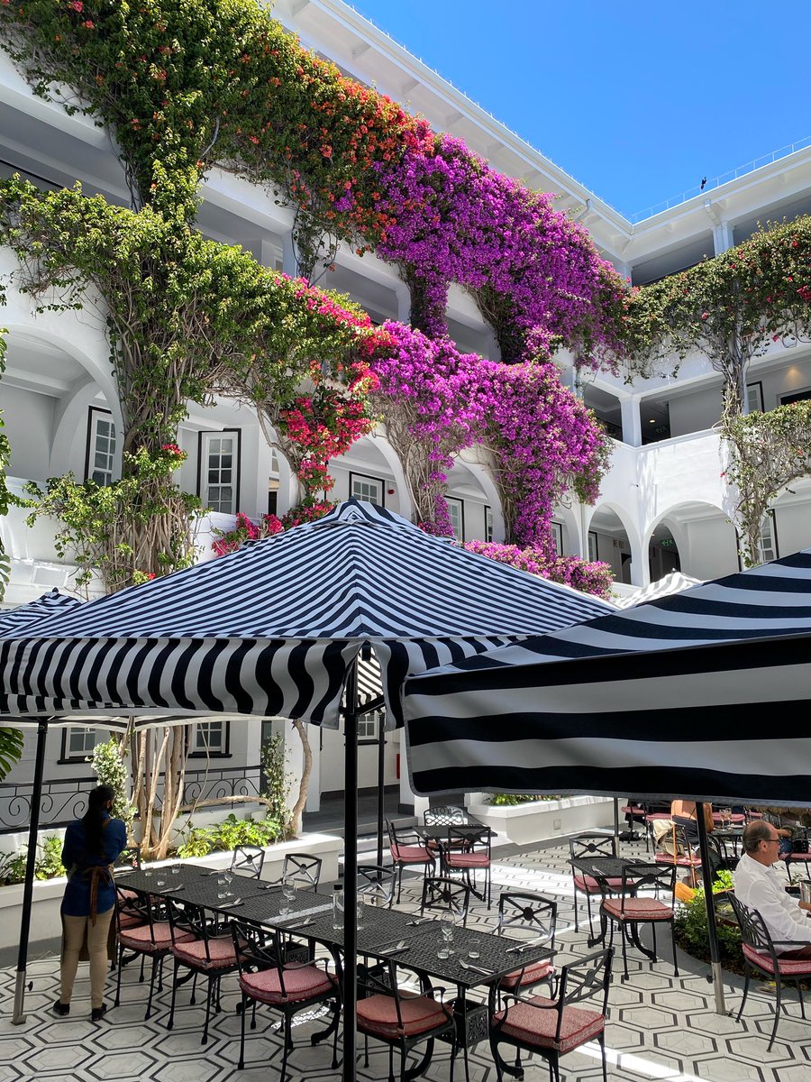 Sam Linsell tweet media