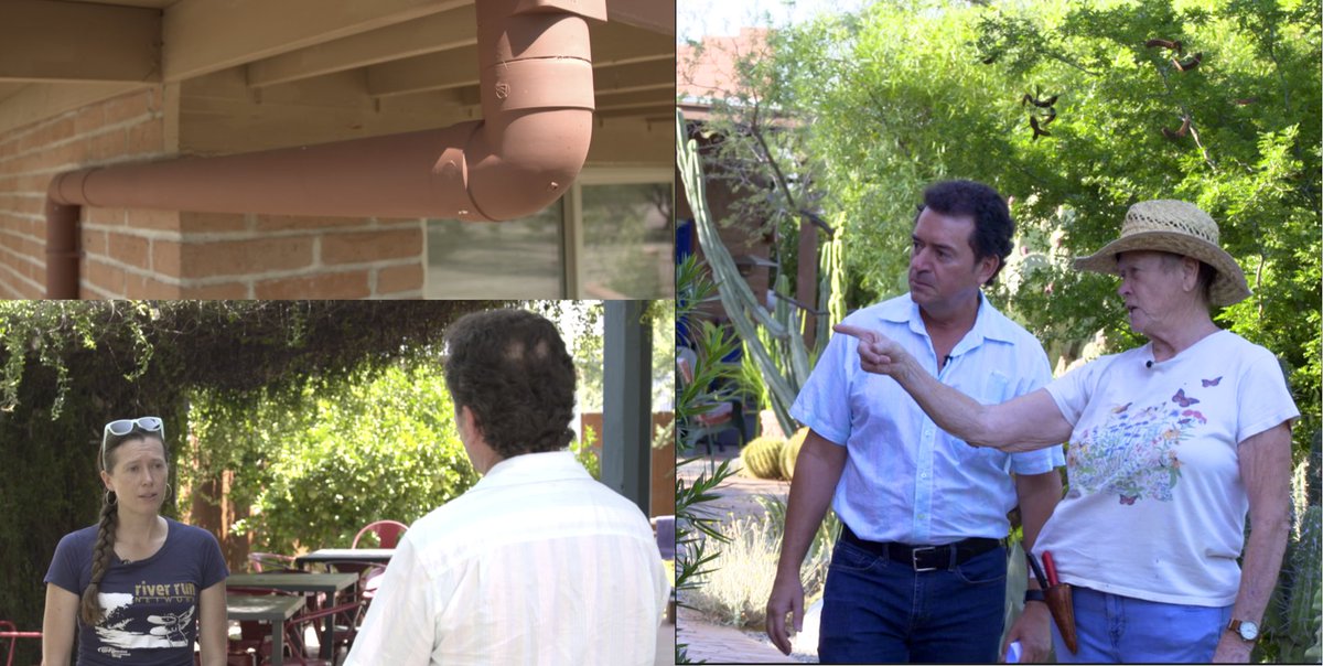 This week on AZ 360, a closer look at how #Arizona homeowners are saving on their water bill and reusing rainwater for gardening. 

Tune in Friday night at 8:30 on <a href="/azpublicmedia/">AZPM</a> for more with <a href="/tbreadnwater/">Tony Paniagua</a>.
#AZPM #water
