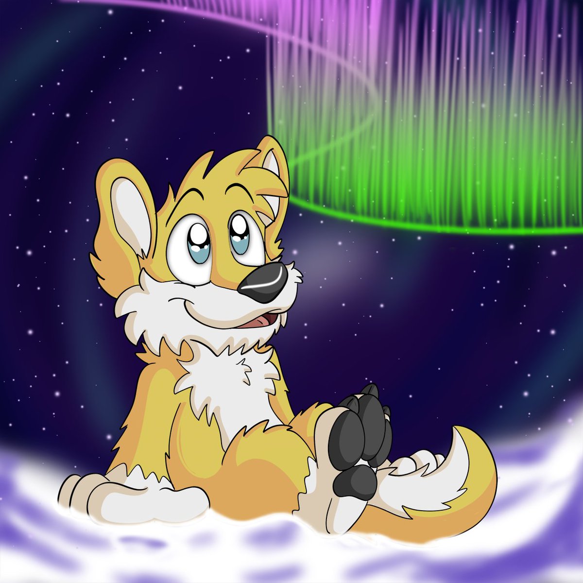 Nuuk Polarwolf stargazing

What could be more magical than watching all the nice stars and the polar lights during a clear winter night? :D

Commission I did for @NuukPolarwolf