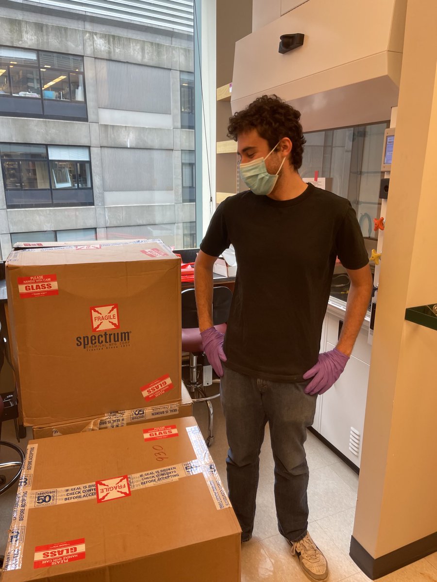 Silvi Rouskin tweet media