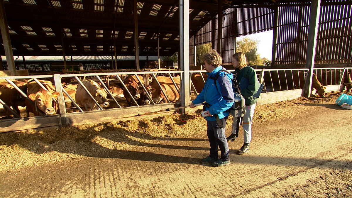 HollieGoodall's tweet photo. Meet the gas busters- the @RHULEarthSci scientists measuring methane on @JsyDairy farms to potentially destroy it before it gets into the atmosphere. Find out more at 6pm on @ITVChannelTV https://t.co/MYfkDsDaz3