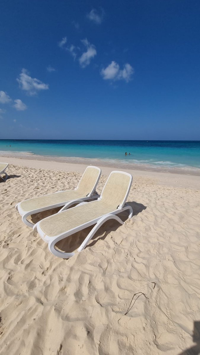 Сергей tweet media