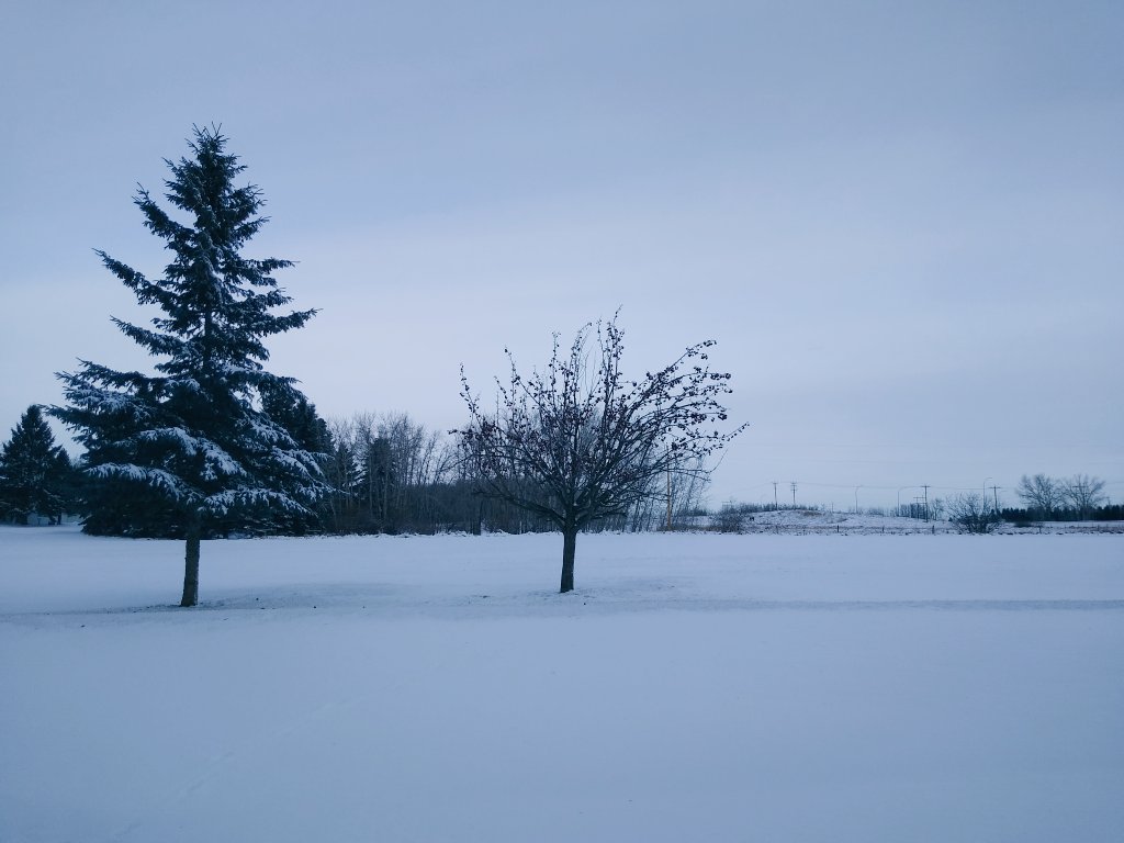 Nothing like the beauty of Fall in Canada the way the orange, yellow, and red leaves flow together. It's just magnificent 🍂 Wait something's not right here...