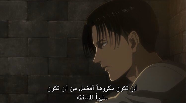 دُرر ليفاي ✨