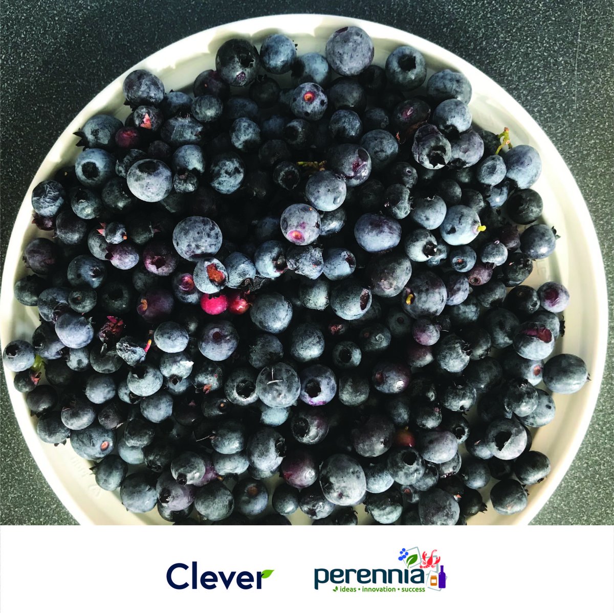 Perennia Food and Agriculture Corporation tweet media