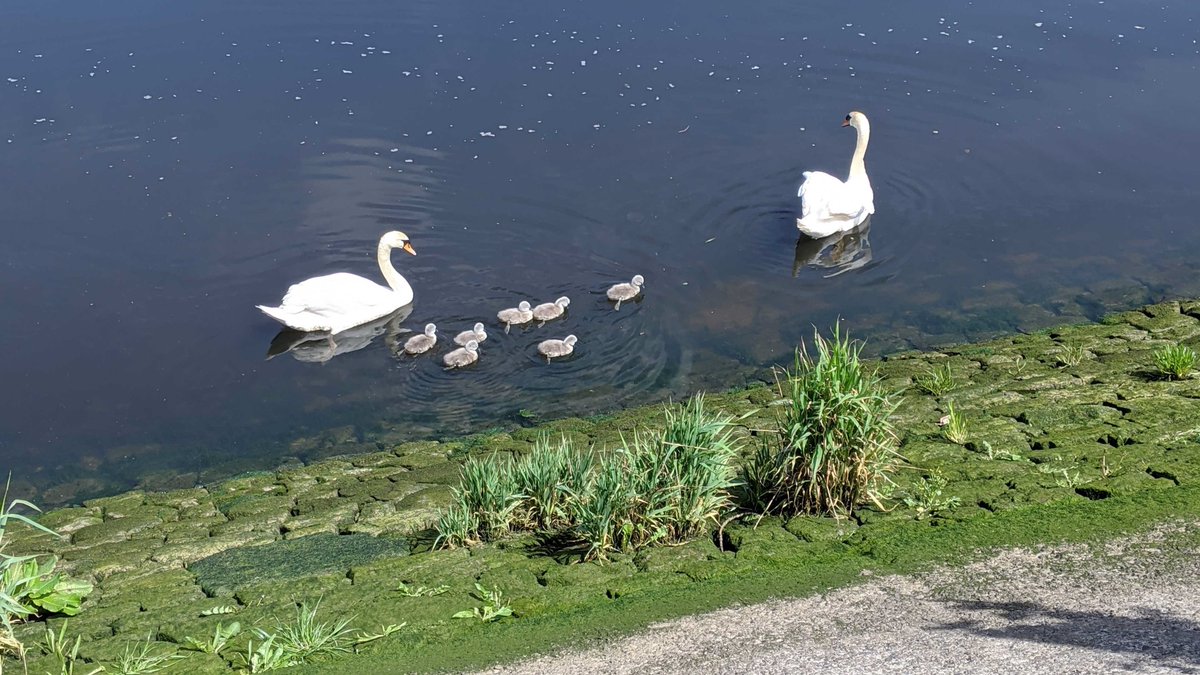 JCPinWiltshire's tweet photo. Today we had our Mental Health #LetsTalkWilts hour, in case you missed it see here for all  we tweeted  : https://t.co/acONZoaN41

We are going home, but there will be jobs posting till 8pm,  search using the #WorkinWilts. We will be back tomorrow at 9am.
See you then! Nikki https://t.co/nZFXGgMf3m