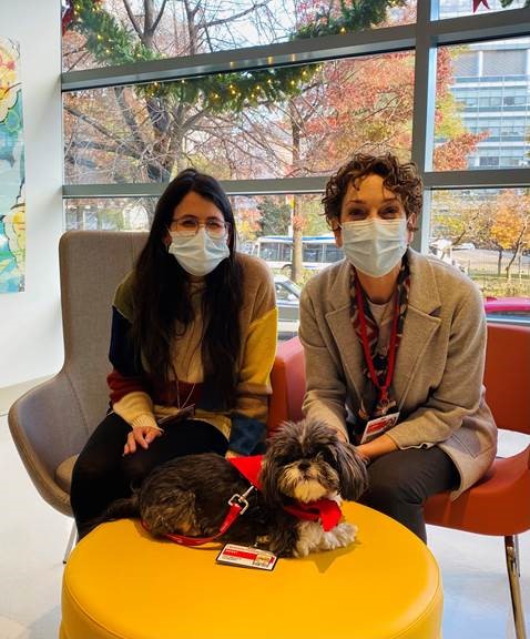 We’re excited to announce that #NYP’s pet therapy program is back! Our four-legged volunteers are ready to once again lift spirits and provide comfort to our patients and staff. Learn more about our program: nyphosp.co/3chJG9g CC: <a href="/ColumbiaMed/">Columbia Medicine</a>