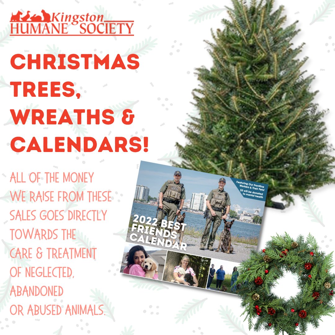 Pbs Christmas Tree Sales 2022 Kingston Humane Society On Twitter: "Grab Some Holiday Items While  Supporting The Kingston Humane Society This Upcoming Holiday Season! 😍 Get  Your Tree, Wreath, And More From Us And Make An Immediate