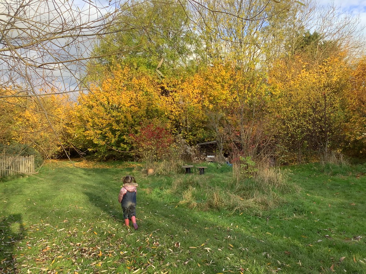 NEC_LPS's tweet photo. A fun afternoon making leaf people at Forest School. Thanks for the idea @BusyBeesLedbury. We showed the trees some love too and did plenty of tree hugging! #LPSeyfs #LPSrshe #LPSart #LPSdt https://t.co/tQKen99LdP
