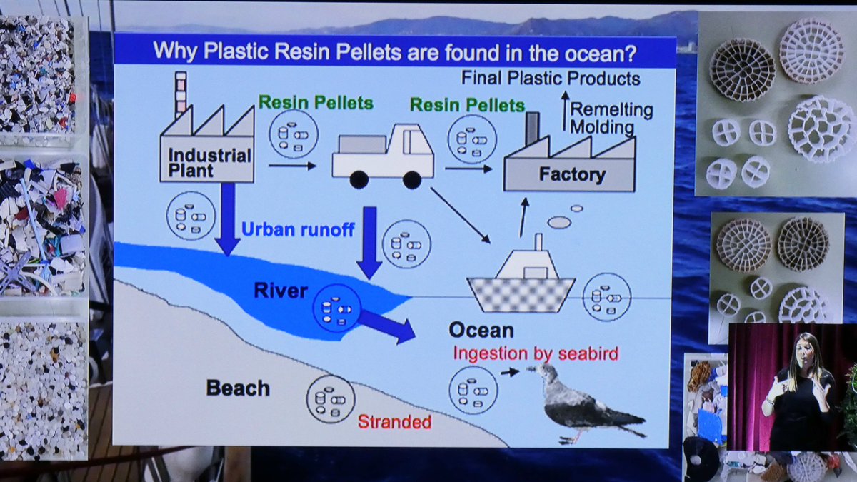 Comunicaciones de centros. <a href="/PrimRambla/">IFE INSTITUT RAMBLA PRIM</a> proyecto "Estudio de los microplásticos marinos y planta escolar automatizada de reciclaje de residuos."
Presentan Fernando Condal y Sergio Ávila
#EconomíaCircular #FP #innovacion
 <a href="/GobAragon/">Gobierno de Aragón</a> <a href="/educaciongob/">Ministerio de Educación, FP y Deportes</a> <a href="/mitecogob/">Transición Ecológica y Reto Demográfico</a> <a href="/ComisionEuropea/">Comisión Europea en España</a>