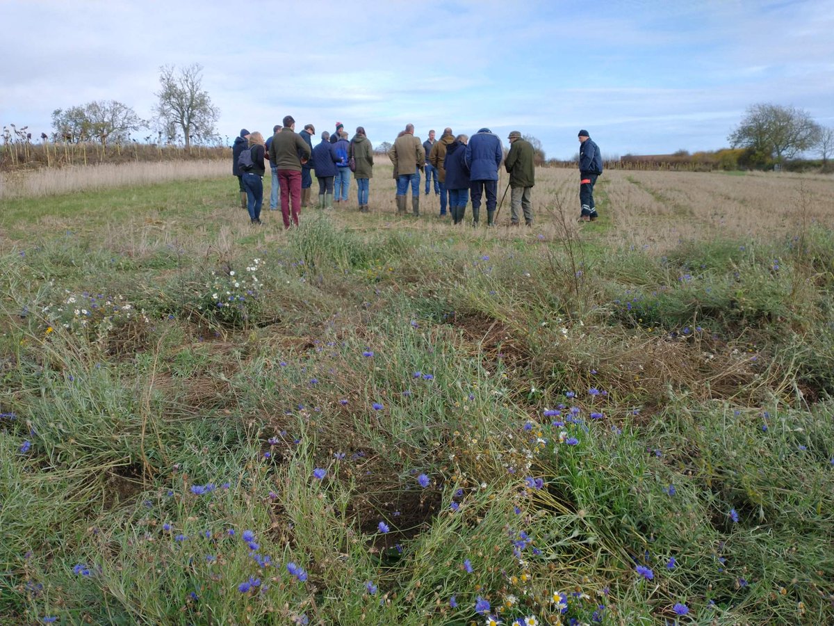 Lovely November day learning how to maintain healthy soils with Philip Wright and the River Eye Farming Group! Healthy soils have a higher resilience to damage, promote water infiltration and act as natural flood management. Thanks for the lovely setting &amp; lunch <a href="/MarchHouseFarm/">March House Farm</a>